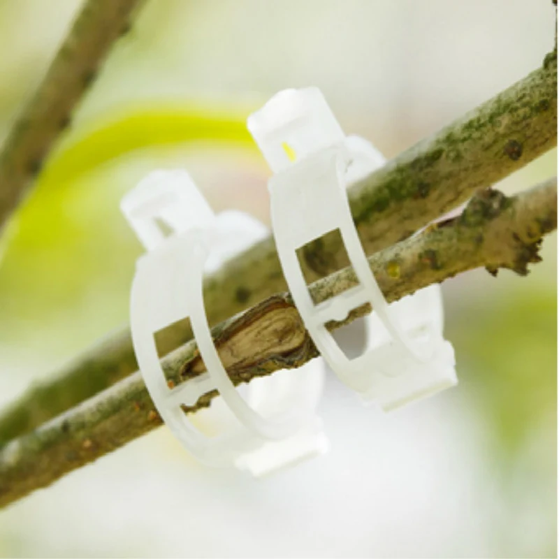 100 шт. завод Лоза помидор зажимы для стержня поддерживает подключение к шпалера