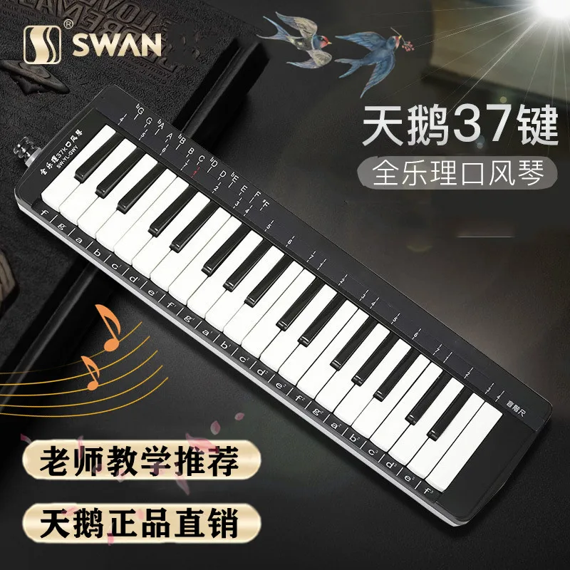 

Professional Melodica Melody 37 Keys Soprano Carry Melodica Musical Instruments Musique Instrument Musical Instruments BG50MM