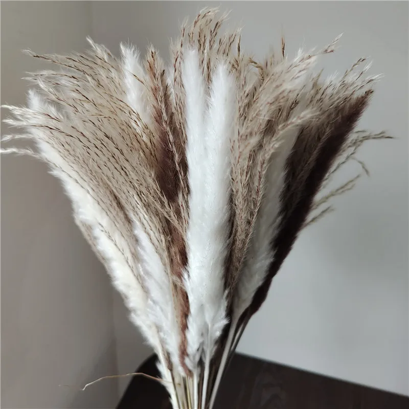 Тростник 45 см пампасы пшеничные уши кроличьи хвосты трава Натуральные сушеные