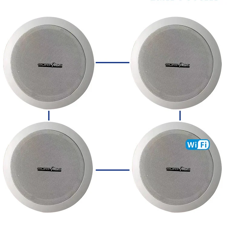 

6'' Big Output Power Stereo Sound Contoller Ceiling Mount WIFI Active Speakers