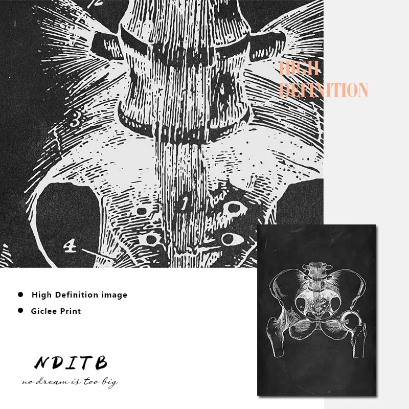 Черно-белая Анатомия человека медицинская настенная Художественная печать