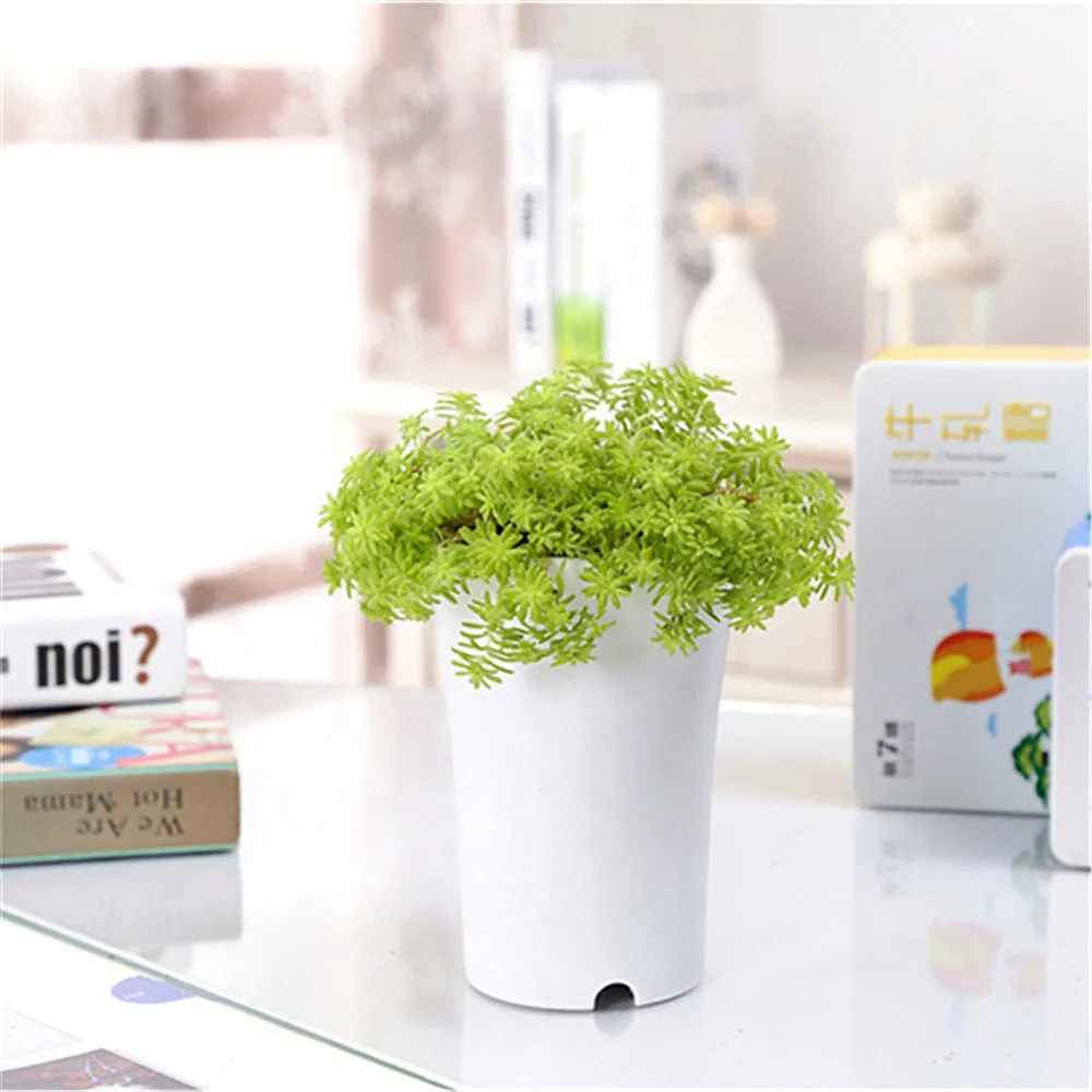 10 шт./компл. круглый пластиковый горшок многоразовые суккуленты белый/черный для