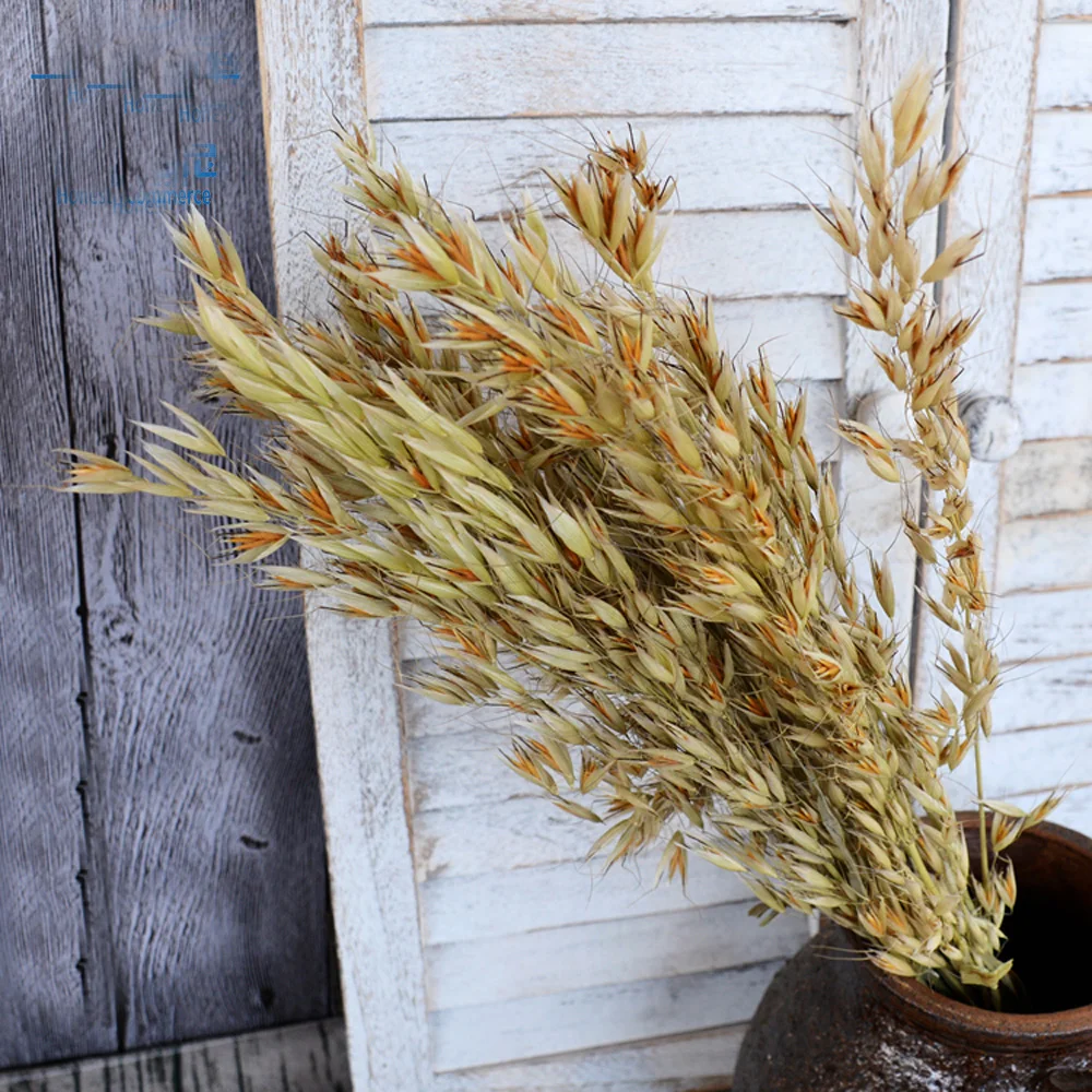 50 шт. натуральный цвет сушеные натуральные Цветочные букеты Натуральные Сушеные