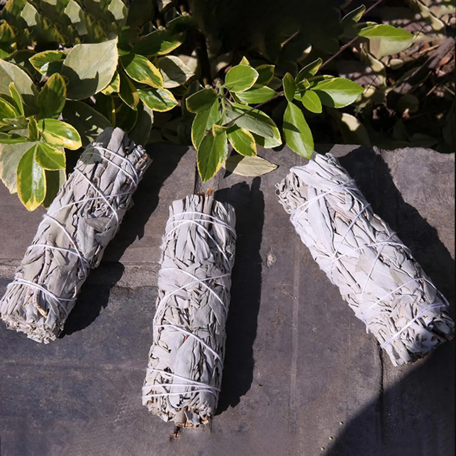 

White Sage Bundles Sage Smudge Sticks for Home Cleansing Purification And Fragrance Healing Meditation Smudging Rituals