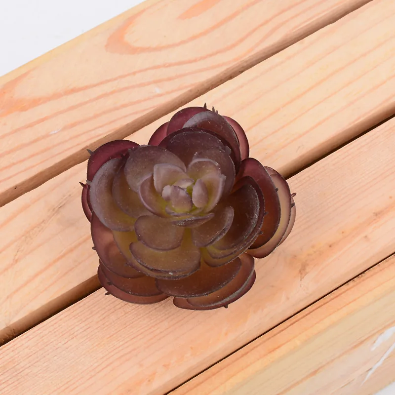 Имитация суккулентных растений-роза с круглым сердечником и суккулентами | Дом