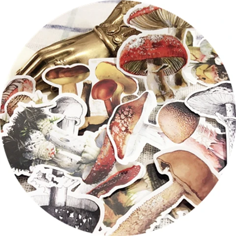 16 шт. 2019 винтажные стикеры в виде грибов рукоделие скрапбукинг альбом