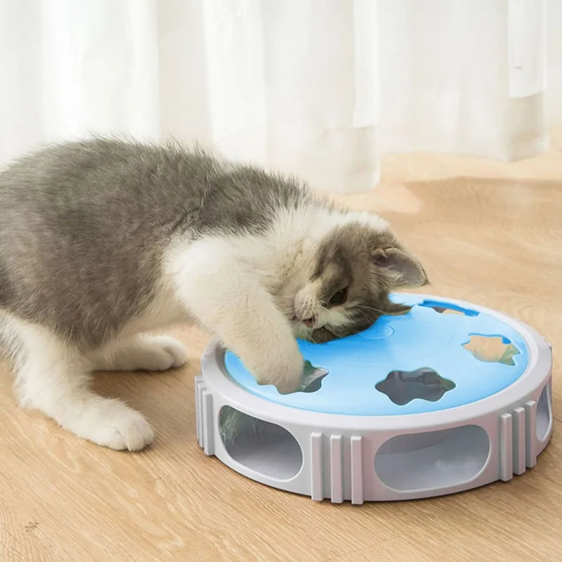 

New hot selling universal New hot selling universal Hot Household Balance Car Cat Chasing Funny Pet Products for