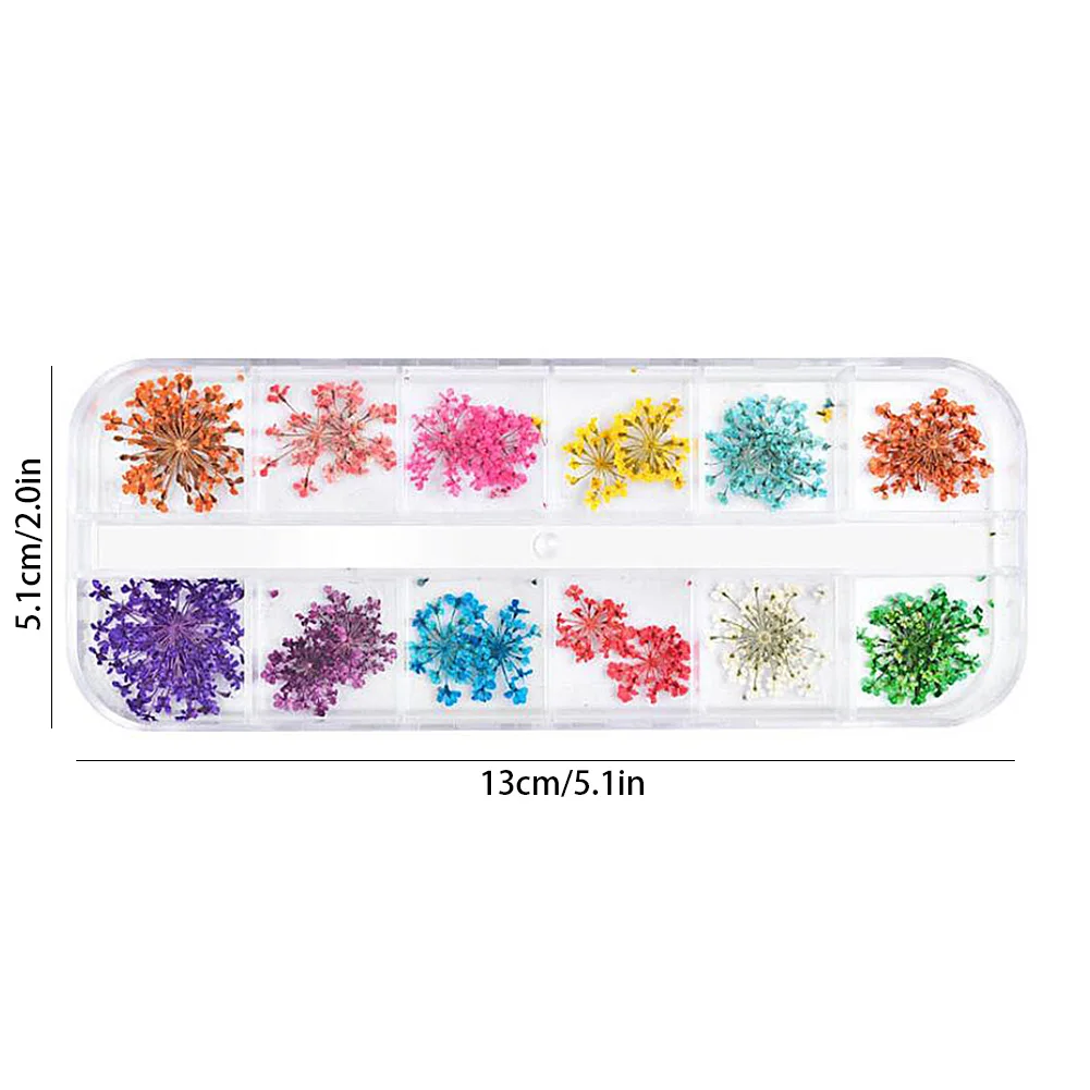 

3D Nail Dried Flowers Nail Natural Art 12 Colors Colorful Nail Decals Decoration Natural Floral Sticker Mixed DIY Nail Art