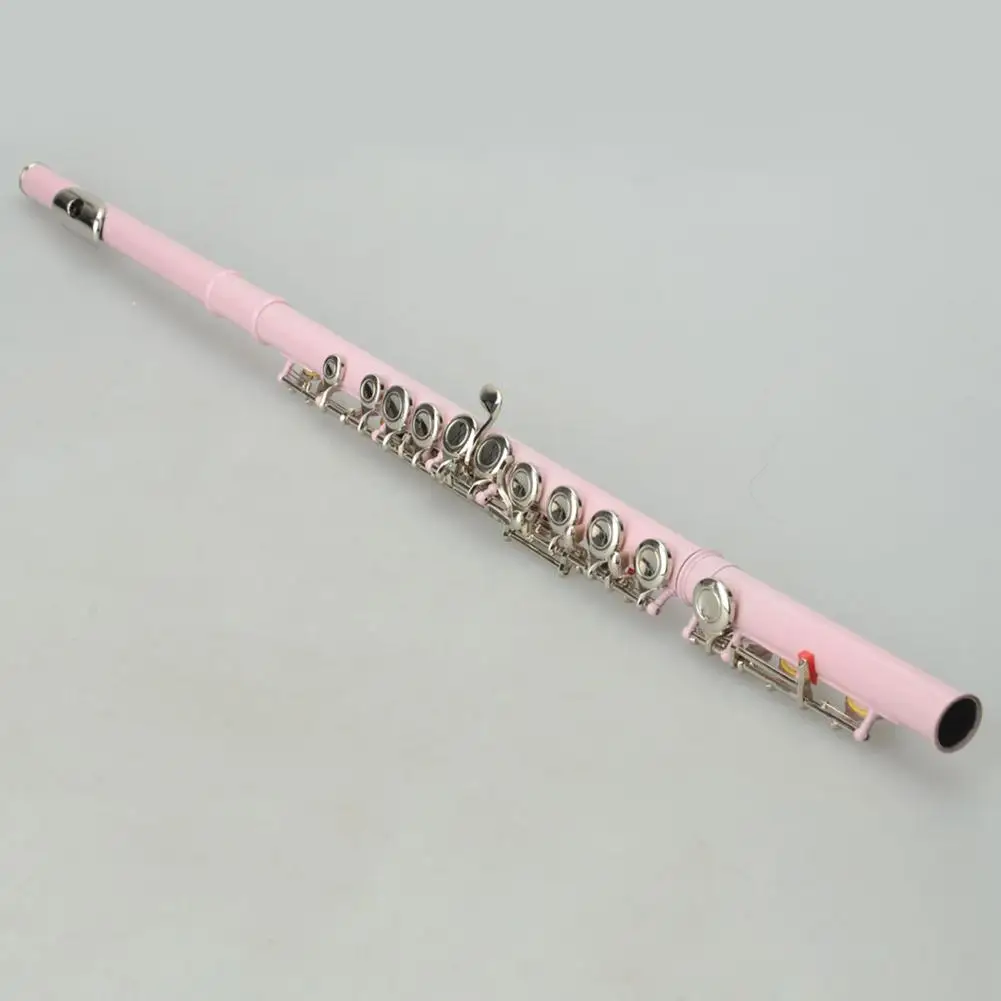 

Pink 16 Closed Holes Concert Band Flute C Tone Cupronickel Concert Flute Instrument Transversal With E Key Gloves Padded Bag