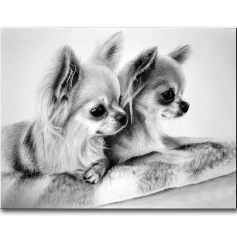 Чихуахуа собака 5d diy алмазная живопись с украшением в виде кристаллов Вышивка
