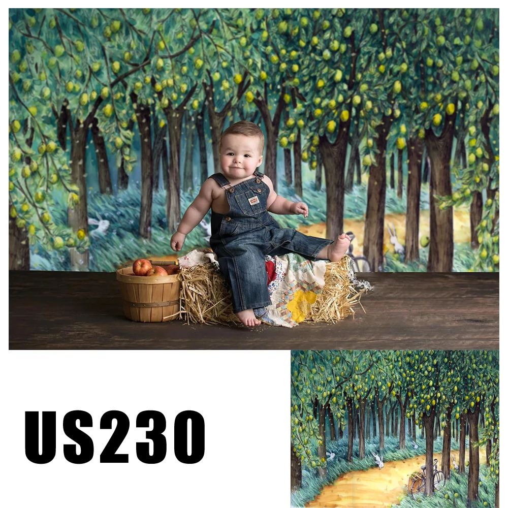 Виниловый фон для студийной фотосъемки с изображением сказочной страны чудес