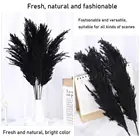 10 шт. сушеные большие пампасы трава светильник лый Цвет Свадебные цветы букет Натуральные Сушеные пампасы трава Рождество домашний декор