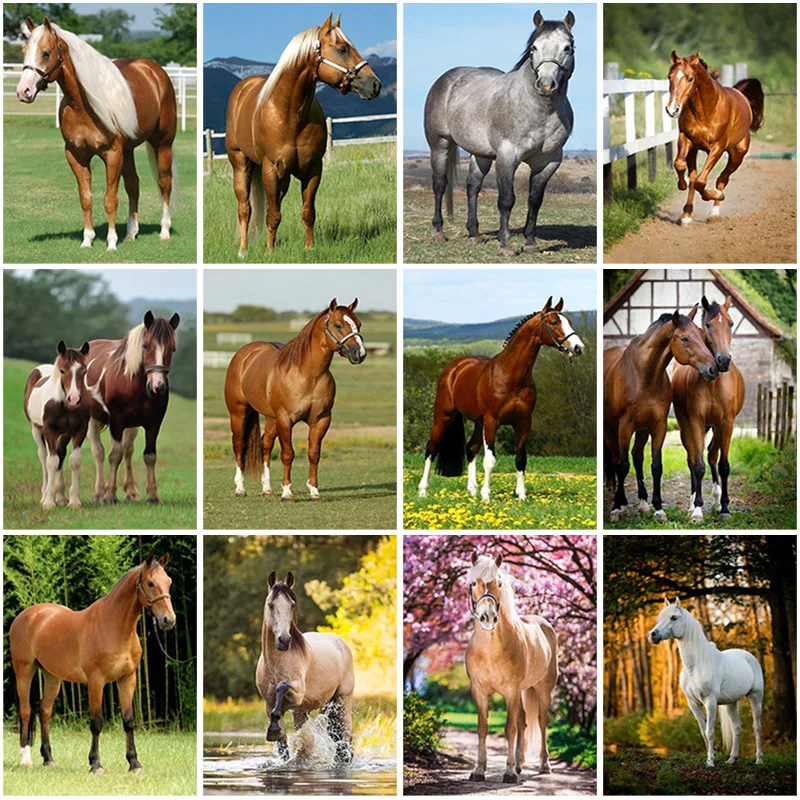 

5D Diamond Painting Horse Mosaic Art Diamond Embroidery Animal DIY Picture of Rhinestones Cross Stitch Wall Art Home Decor