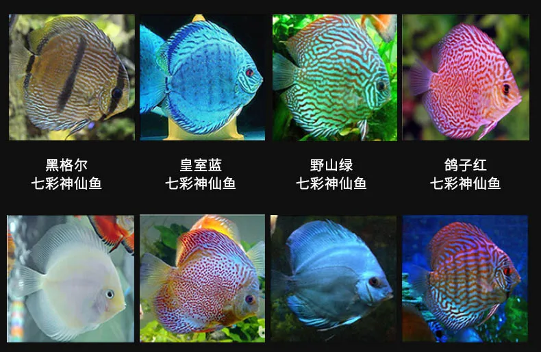 Discus корм для тропических рыб без океана гранулы аквариума кормушка для рыбы полные биты энергии цвет