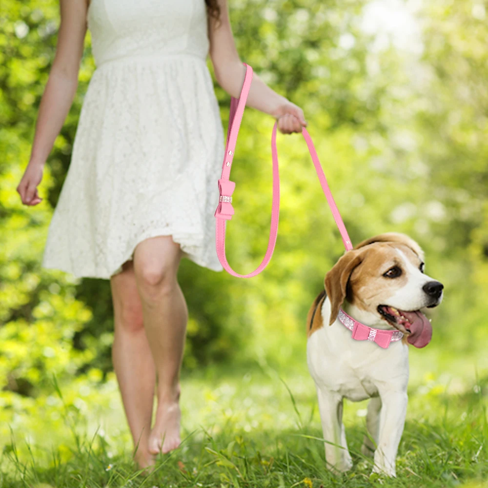Ошейник Стразы замшевый с бантом и поводком для домашних питомцев набор