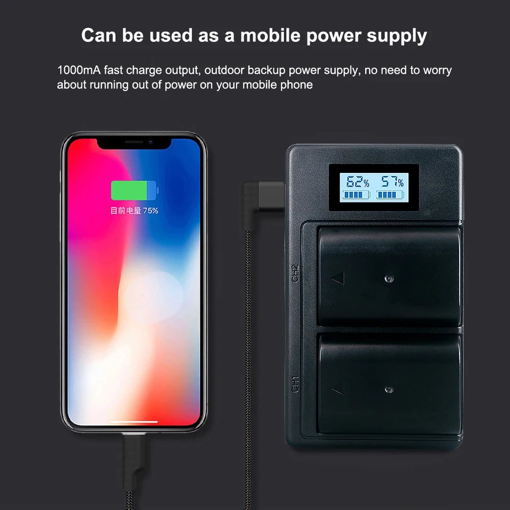 PALO 2200mAh DMW-BLF19E DMW-BLF19 камера батарея DMW BLF19 BLF19E + LCD двойное USB зарядное устройство для