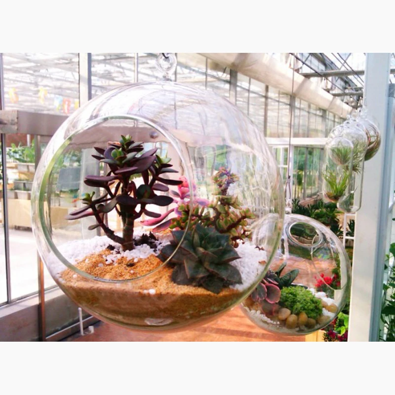 Прозрачная подставка для цветочных растений подвесная ваза контейнер