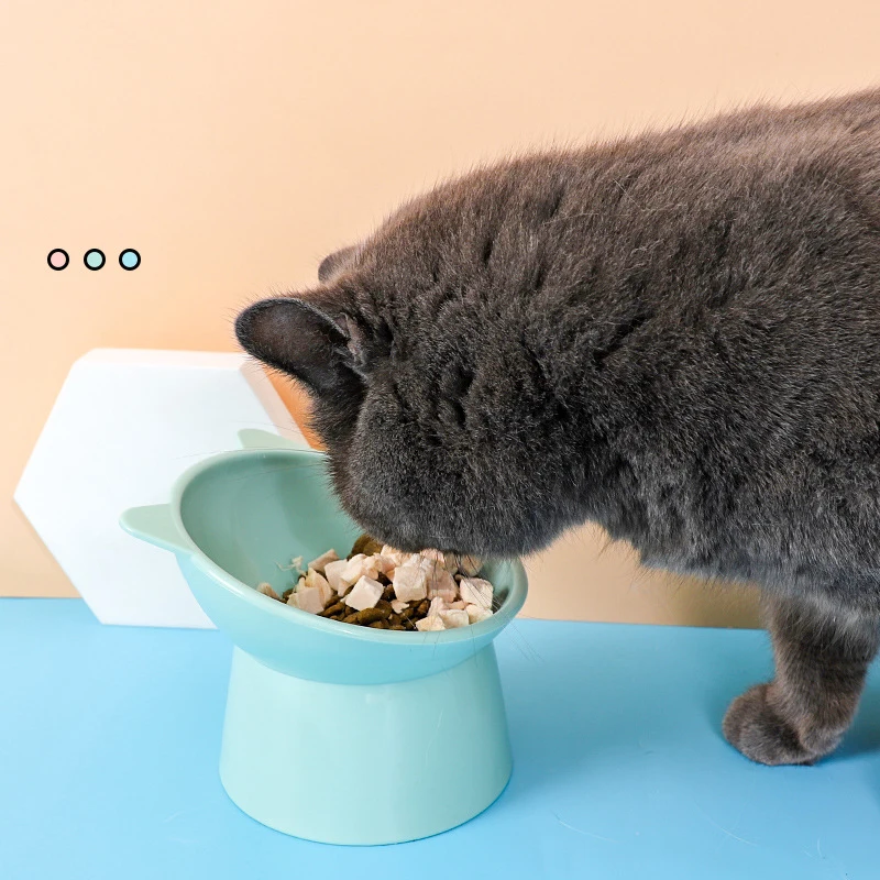 Собак Чаша Kitty питатель чаши для того чтобы поить щенок Товары - Цена: 1029.76