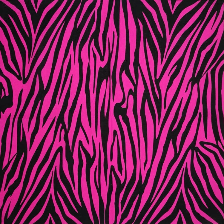 Головной Убор Хип хоп в полоску с зебрами бандана платок стиле панк квадратный