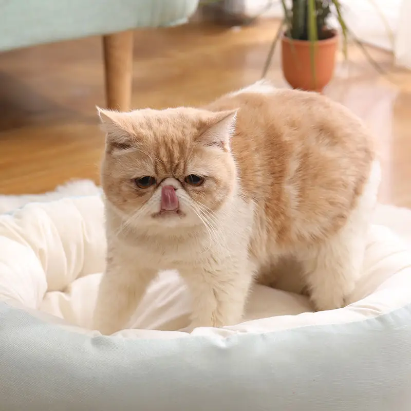 

Cat nest cat house four seasons general pet winter warm kennel cat supplies winter cat bed thick