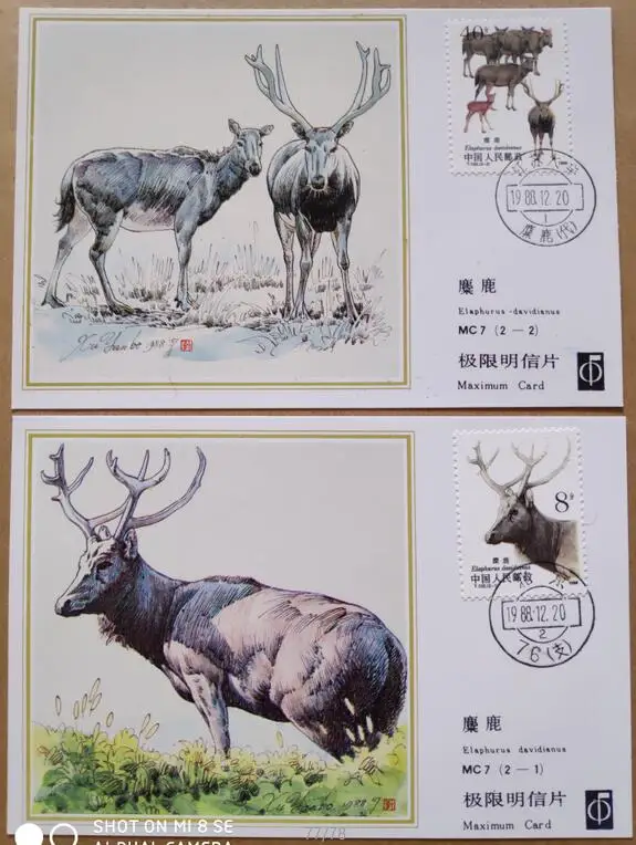 2 шт. Почтовая открытка с изображением лося | Дом и сад