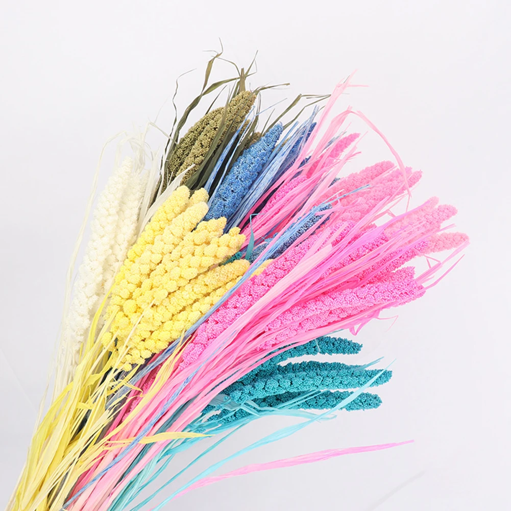 

10Pcs Natural Dried Fresh Flower Bundle DIY Fake Flower Preserved Millet Flower Wedding Party Home Bedroom Decoration Ornament