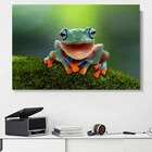 Животные, холст, живопись, дерево, лягушка, смеющиеся плакаты и принты, пейзаж, настенные картины для гостиной, домашний декор, без рамки