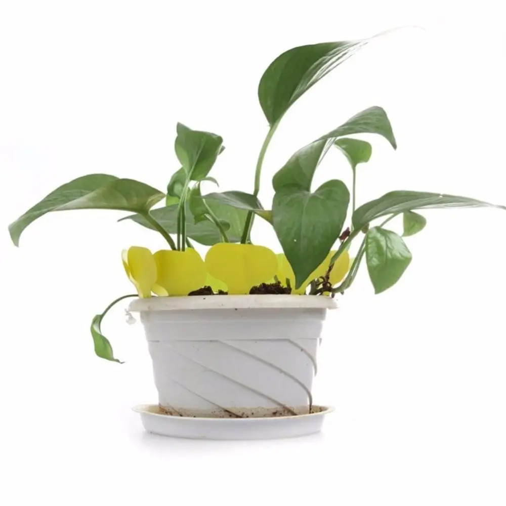 

100Pcs Plastic T-type Garden Tags Ornaments Plant Flower Label Nursery Thick Tag Markers for Plants Garden Decoration