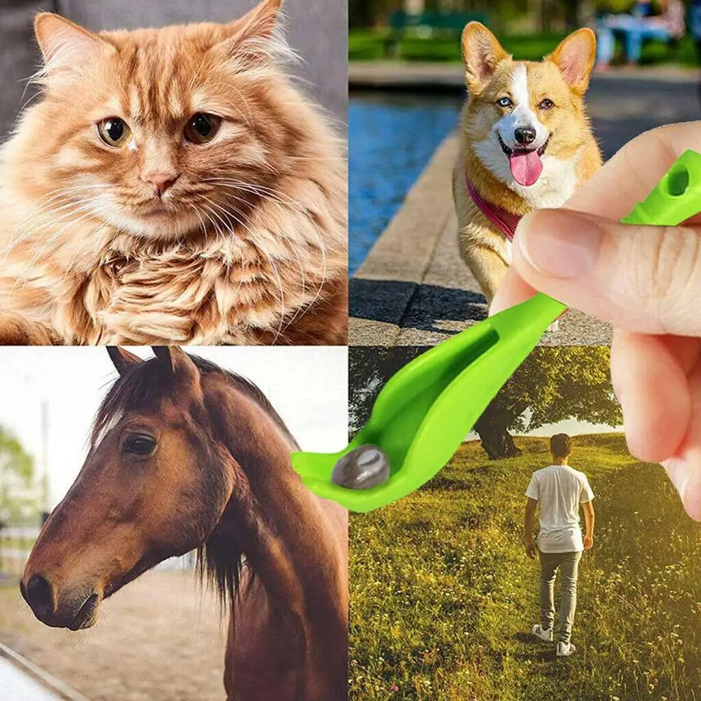 Товары для домашних животных палочка крючок экстрактор ловить червя вшей| |