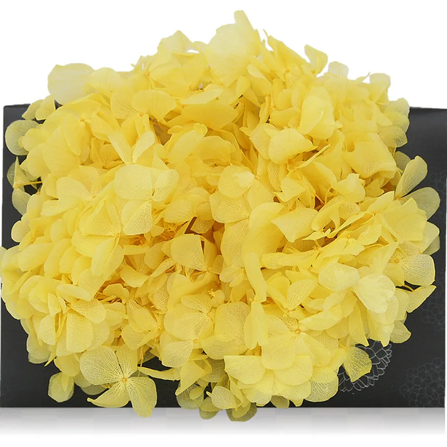 

20g/lot,Grade A Preserved big-leaf hydrangea,Nature Fresh Flower Head for gift box Decoration,Eternal rose bride to be Headwear