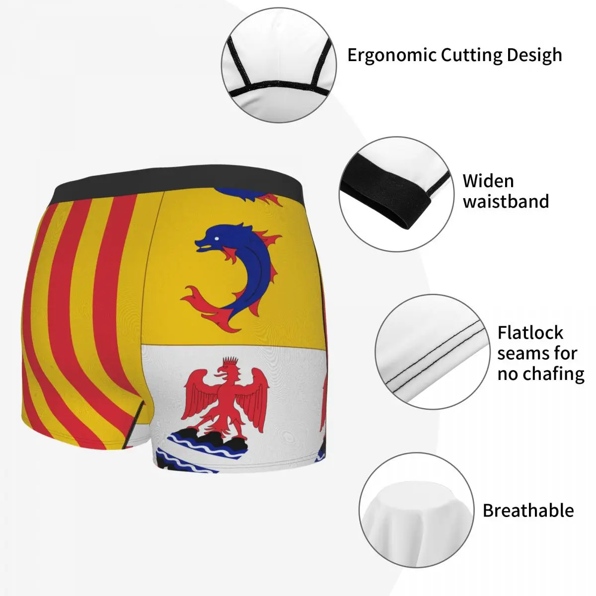 Flag Of Provence-Alpes-Côte D'Azur Men's Boxer Briefs Flags of the regions of France Geek Men's boxer leggings