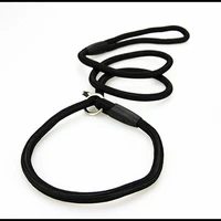 new durable pet leash running walk train for large small dog high quality imitation nylon pet collar leash for dog cat 2 size