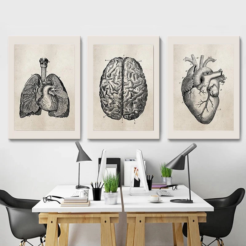 

European Human Anatomy Lung Brain Heart Posters and Prints Hospital Painting Wall Canvas Art Living Room Decoration Painting