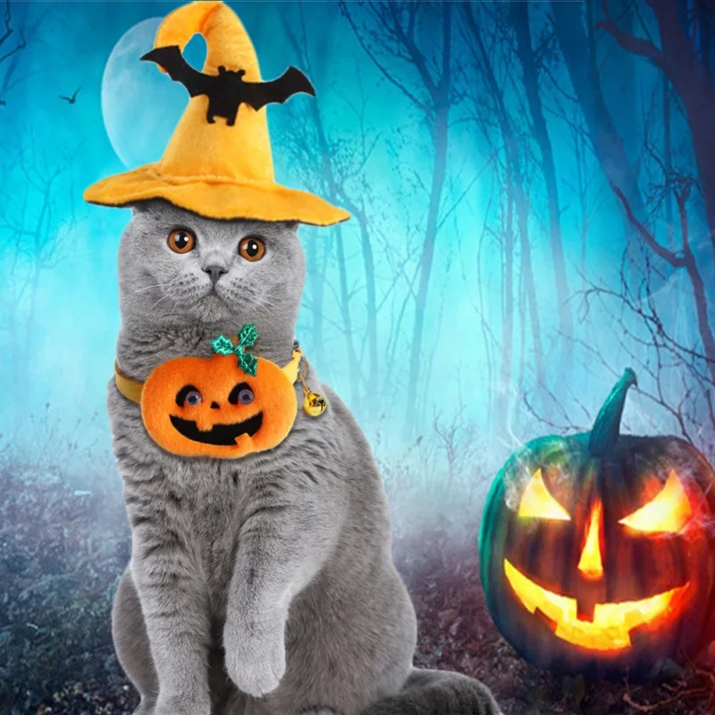 

Halloween Dog Collar Necklace Pet Supplies Adjustable Collar And Hat Lovely Cats Halloween Pumpkin Accessories