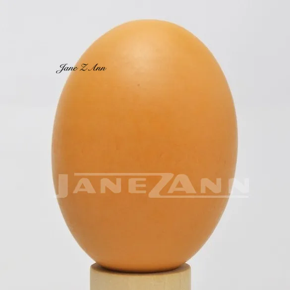egg Jane Z Ann детский реквизит для фотосъемки маленькая шляпа шеф-повара белая эластичная обертка маленькая повара креативный реквизит аксессуары для фотографирования новорожденных - Цвет: egg