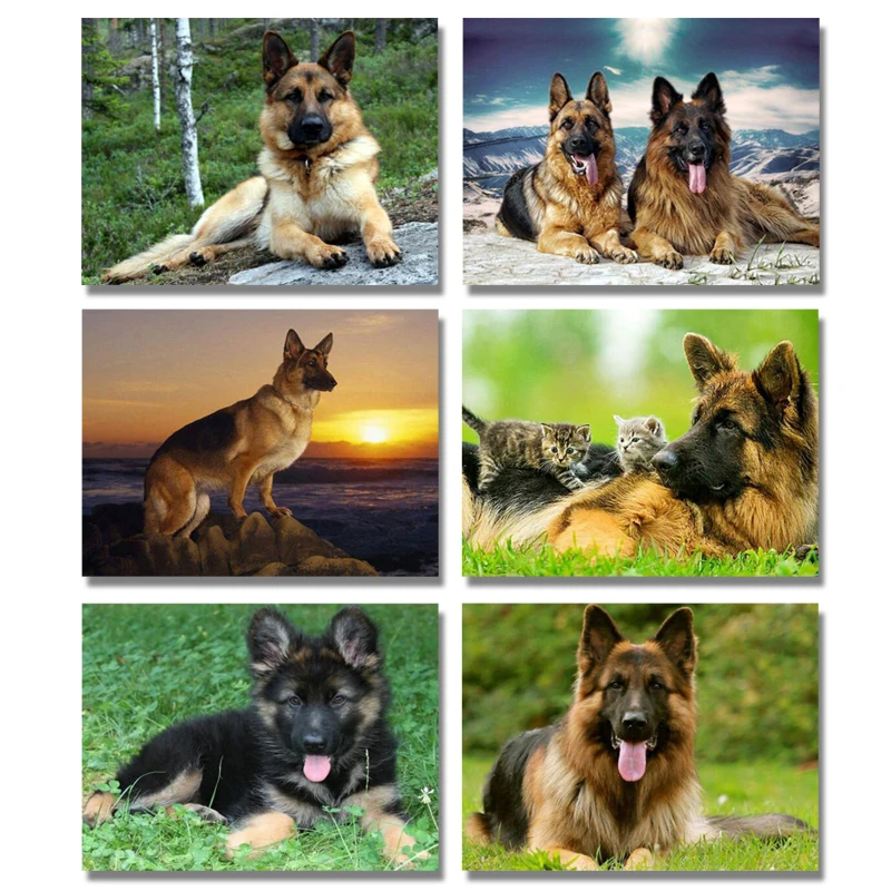 Алмазная живопись 5D сделай сам вышивка крестиком немецкая овчарка алмазная