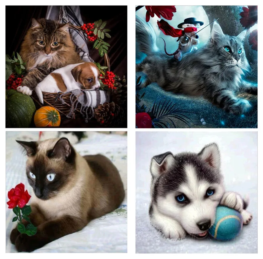 5D DIY Алмазная картина собака и кошка животное вышивка крестом домашний декор| |