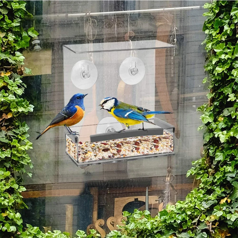 

Fashion Practical Acrylic Transparent Bird Squirrel Feeder Tray Birdhouse Window Suction Cup Tools Easy To Install