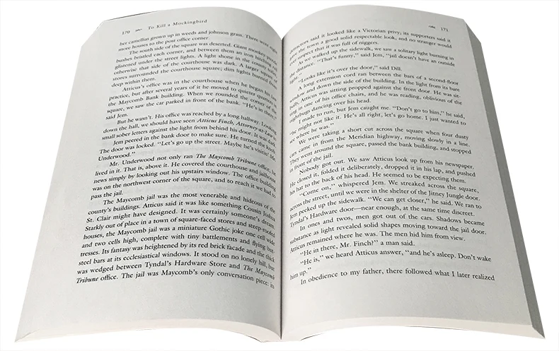 

To Kill a Mockingbird by Harper Lee The Original English Novel Modern Or Contemporary Literature Book