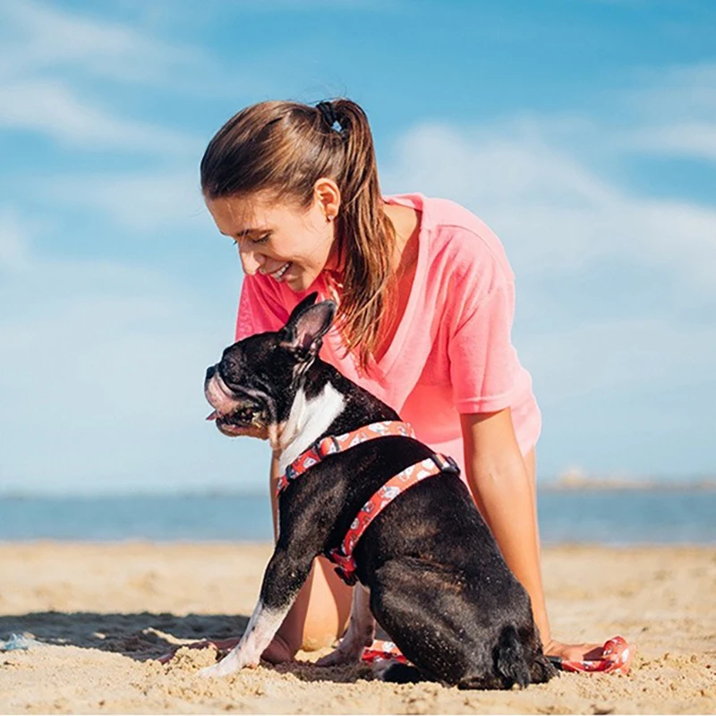 Поводок для домашних собак 2020 новые суши сигареты напечатанные регулируемые i