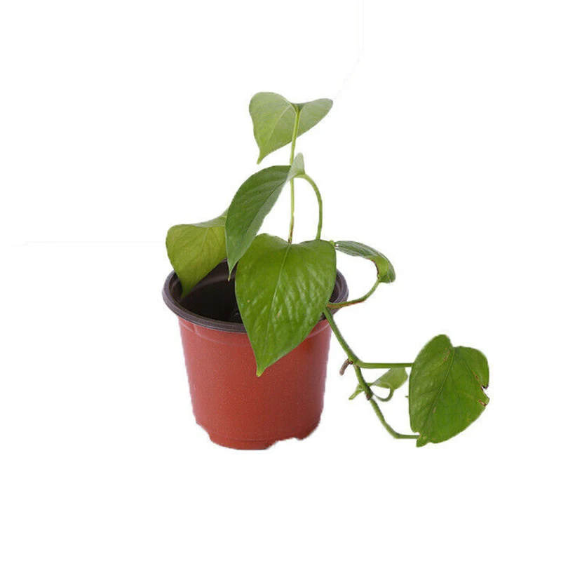 10 шт. пластиковые горшки для цветов|Цветочные и кадки| |