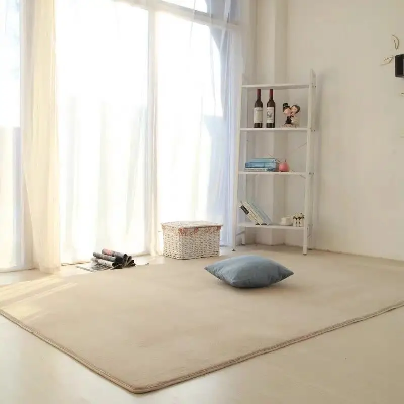 

2020 Convenience Coral Velvet Carpet Living Room Floor Mat Coffee Table Mat Bedroom Blanket Bed Rug Floor Mat Door Carpet