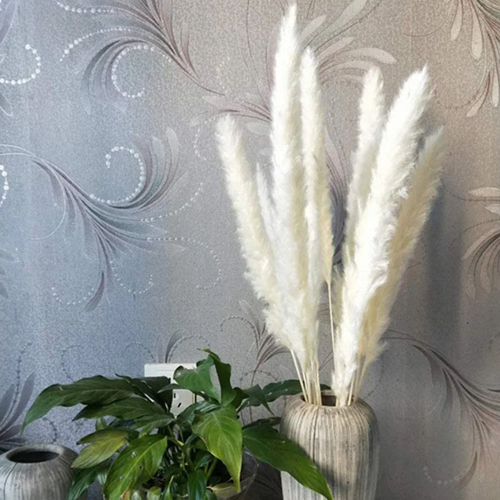 

Reed Dried Flowers Decor Pampas Grass Simulation Bouquet Artificial Natural Dried Plant For Party Wedding Photography 30PCS