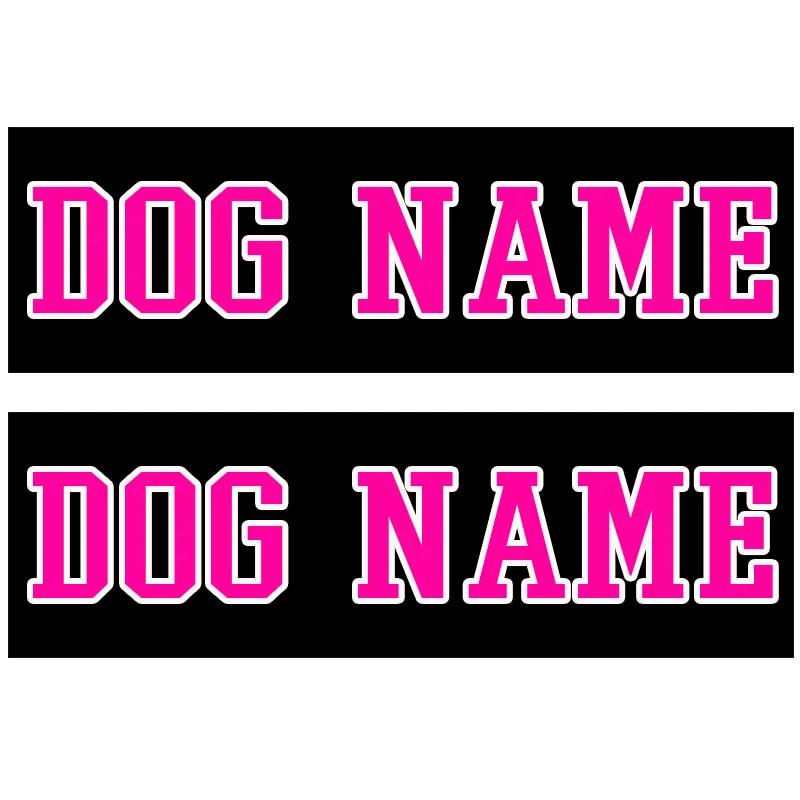 Специфический шрифт на заказ этикетки имя собаки номер телефона красочные