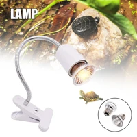 turtle lamp lighting with light clamp practical reptile supplies backlight heat lamp for lizard amphibians uacr lightings new