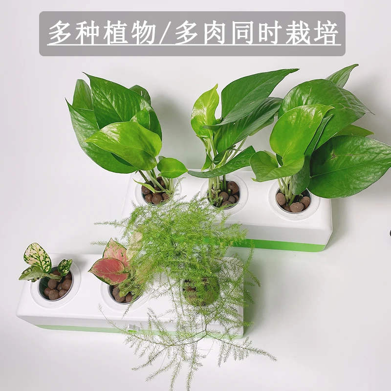 Цветочный горшок для гидропонных растений комнатный гидропонный Настольный