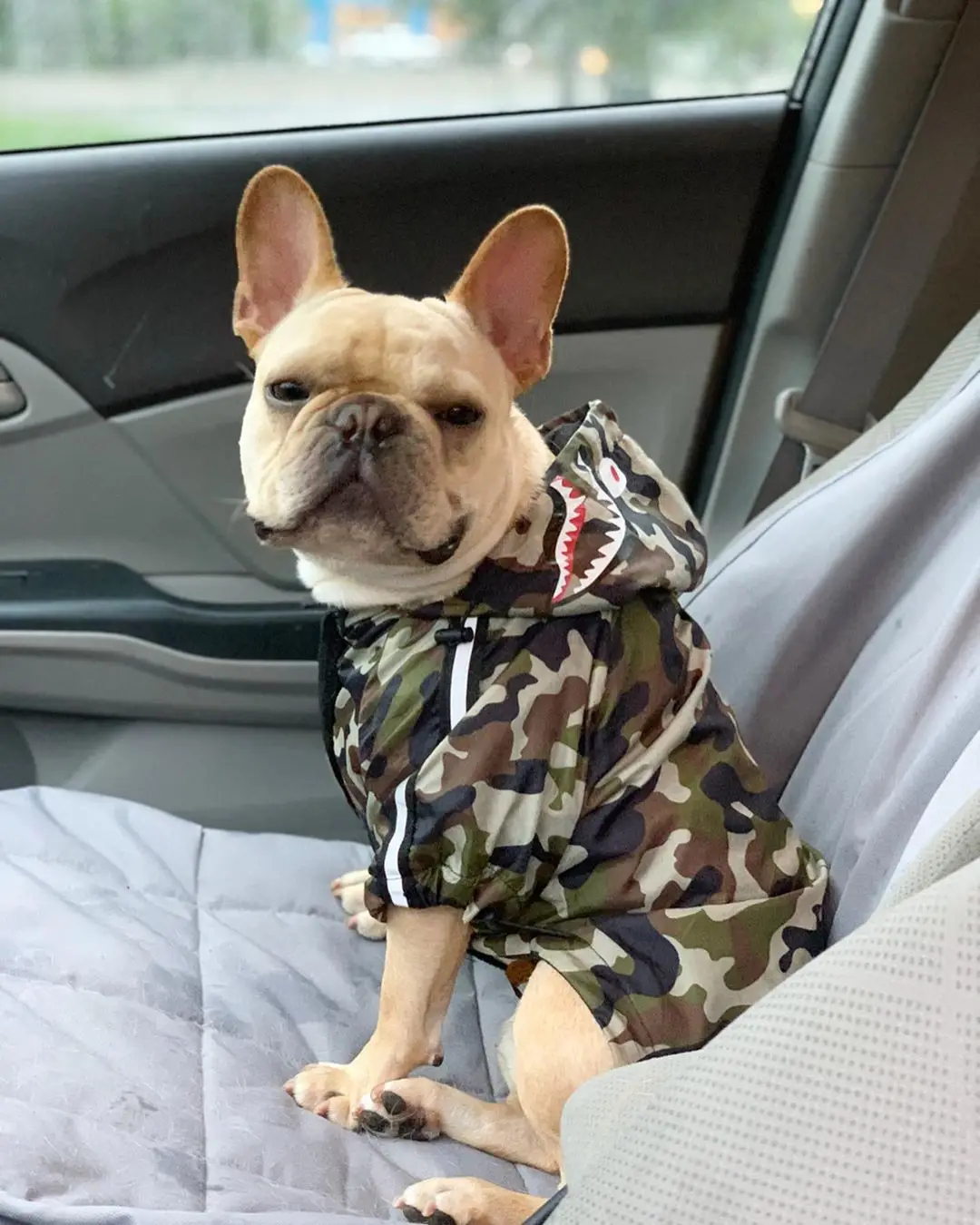 Dog Clothes Adidog Camouflage French Bulldog Pupreme Shirt Dog Camo Windbreaker Sport Retro Dog Hoodies Pet Clothes Puppy Pugs