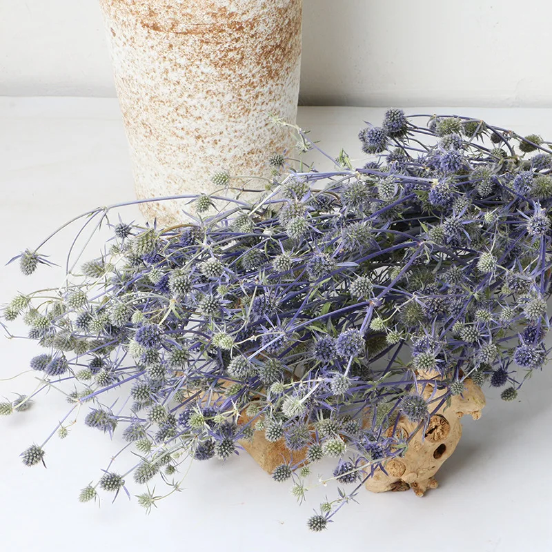 

High Quality Natural Plant Eternal Dried Flowers Lover Fruit Home Decoration DIY Arrangement Wedding Christmas Birthday Party