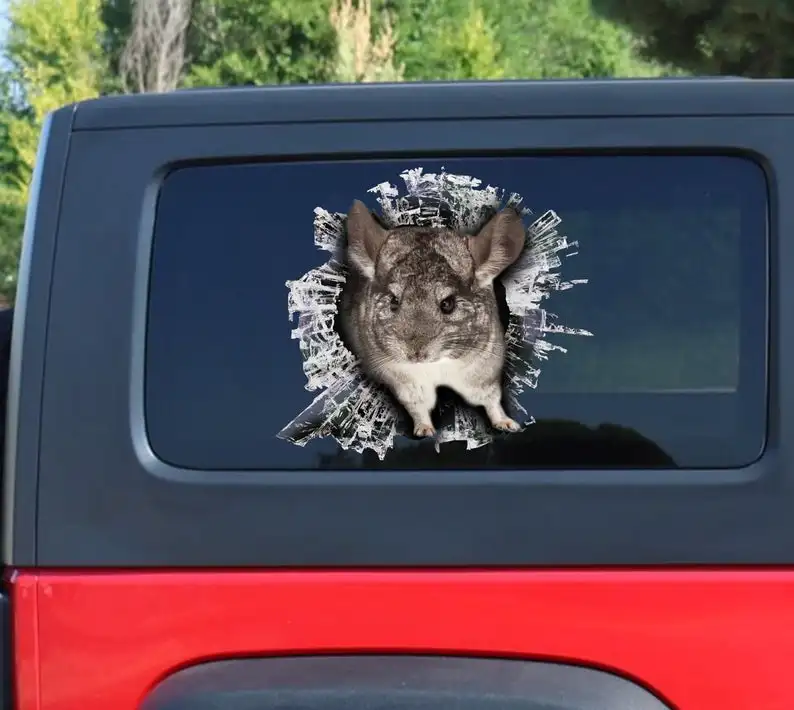 

Chinchilla window sticker, car sticker, Chinchilla car decal