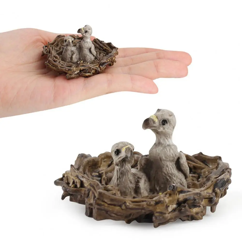 

Simulation Eagle cub nest model Animal Model Ornaments Durable Harmless Learning Toys Decorative Animal Model Ornaments Decor